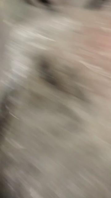 VID-20250121-WA0017.mp4