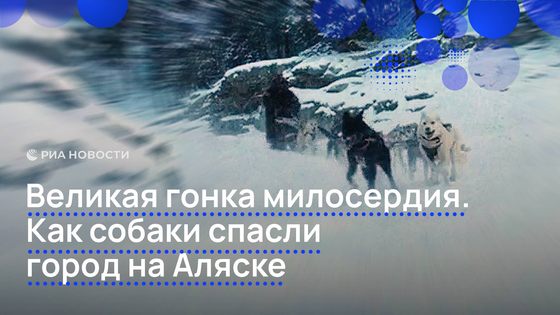 Великая гонка милосердия. Как собаки спасли город на Аляске