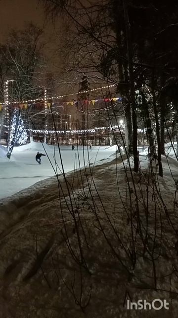 новогодний вечер
в парке