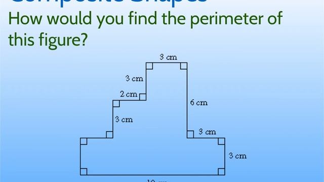 1/11 Perimeter & Circumference