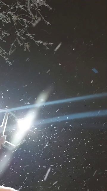 Снежно ❄❄❄