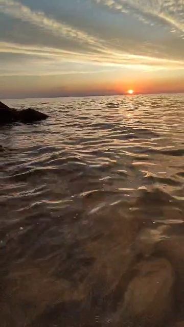 1000014646.mp4