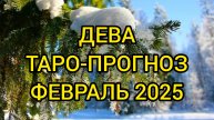 ДЕВА/ТАРО-ПРОГНОЗ/ФЕВРАЛЬ 2025