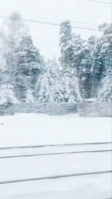 Сквозь снег ❄