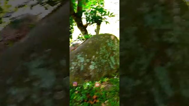 #kollihills #bikeride #sfpilotlbj | Kolli Hills 🏞 Bike🏍 Trip vlog in 🤩tamil | PILOT CREATES 😎|