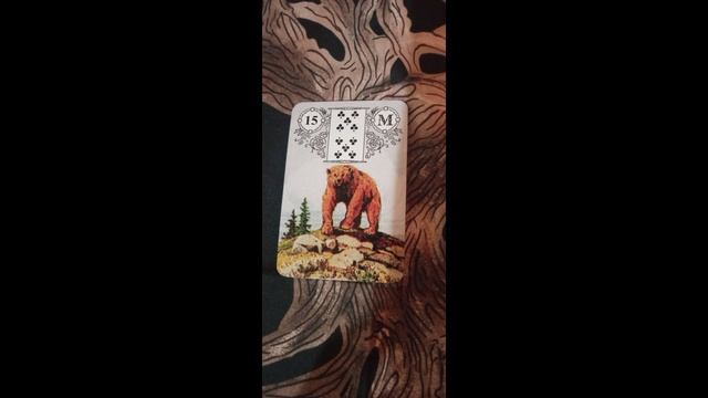 Совет дня на 22 января 2025 года