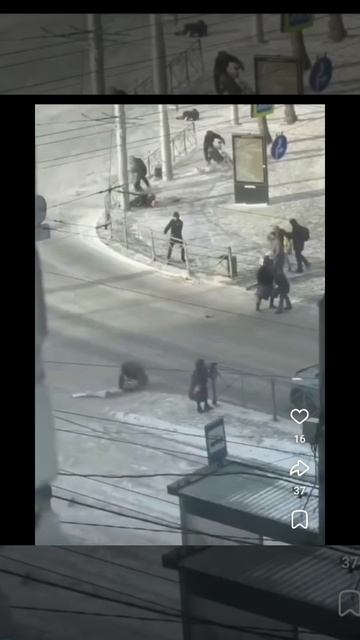 Видео 22.01.2025г. прислали с Новосибирска. Сильный ветер валит людей с ног