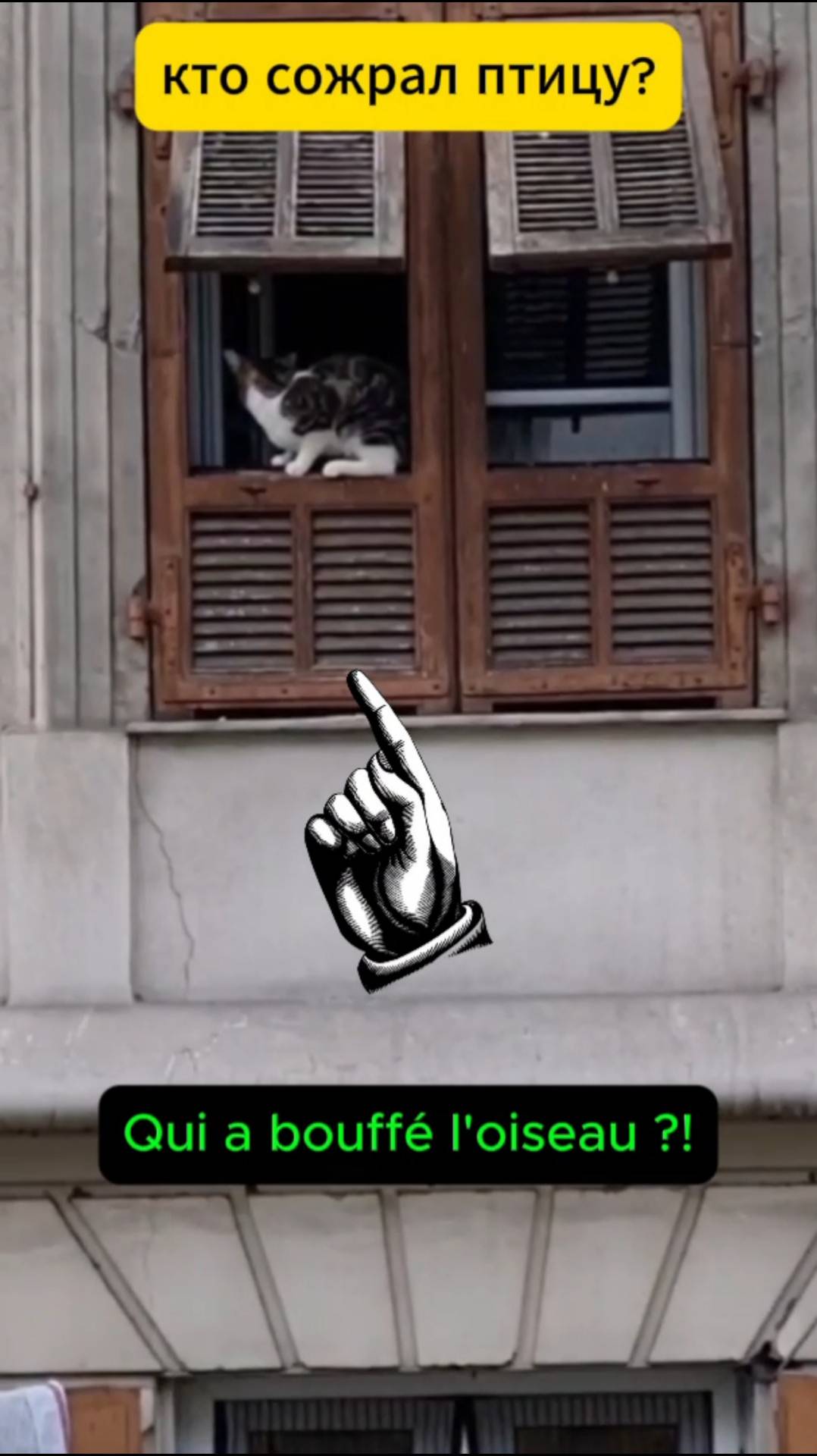 Кто сожрал птицу в Ницце?!