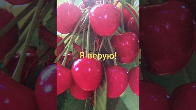 Я верую