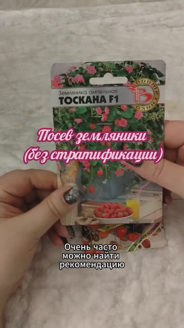 Земляника - посев земляники без стратификации #земляника
