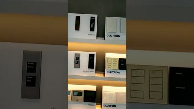 Lutron Smart Lighting & Motorised Blind Solutions