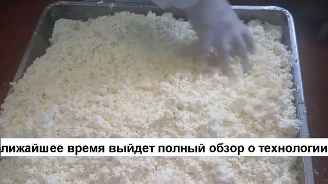 Творожное зерно/Вид зерна Творожного продукта. Анонс видео.