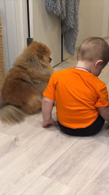 дружба 🥰🔥👑🦁👦🏼