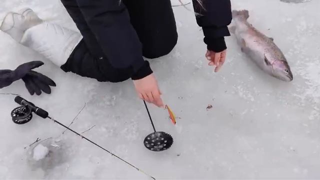 22.01.25 г. Парк отдыха водопад