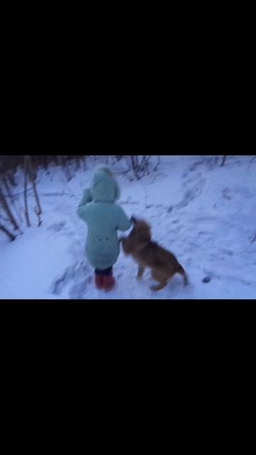 4 года назад