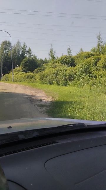 Кимры лось на заправке