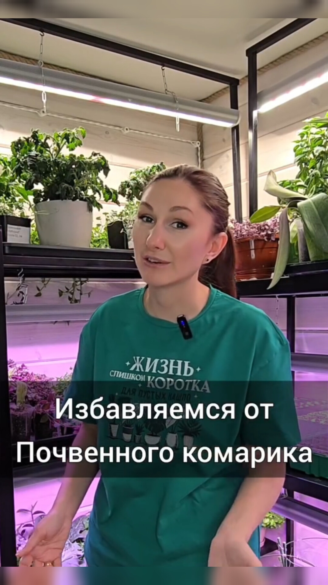 Избавляемся от почвенного комарика