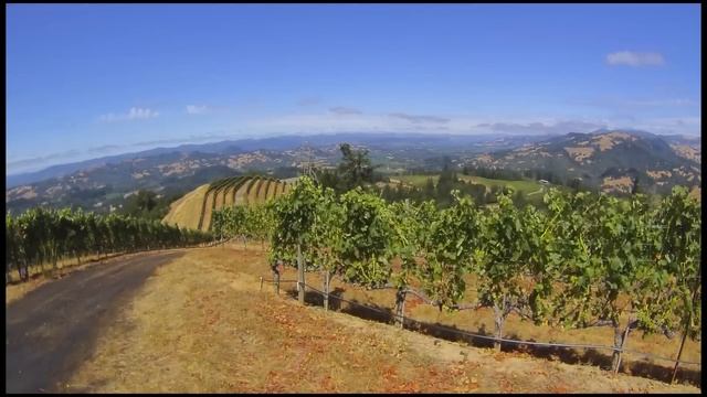 Ferrari Carano's - A year in Alexander Valley vineyard time-lapse - 2014