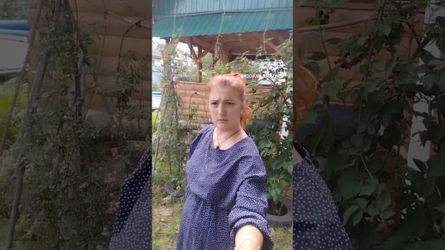 Познай себя. Как роли и сценарии влияют на нашу жизнь