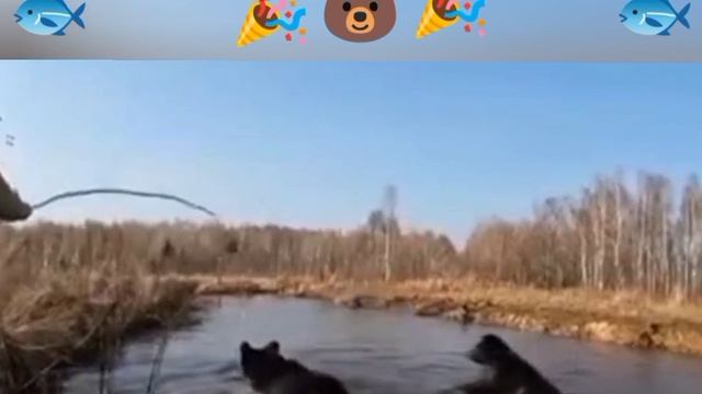 Рыбалка удалась...😀🐟🦈🐬