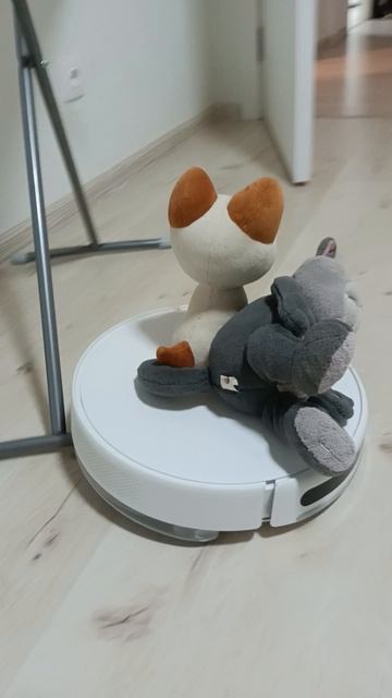 кот на пылесосе