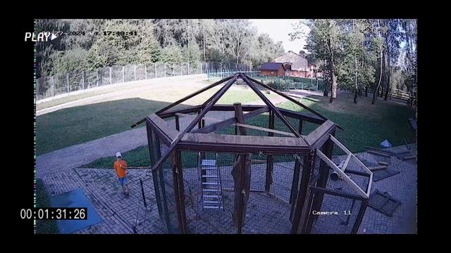 Строительство уличного вольера для белок (Timelapse)