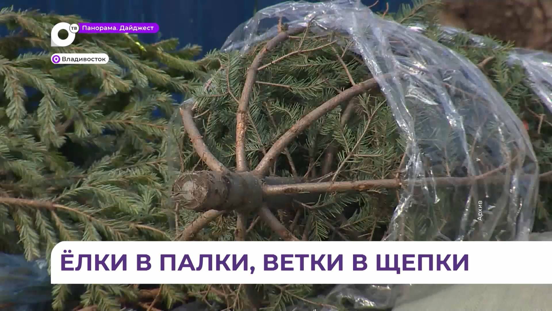 Жители Владивостока могут подарить ёлкам вторую жизнь, сдав их на утилизацию