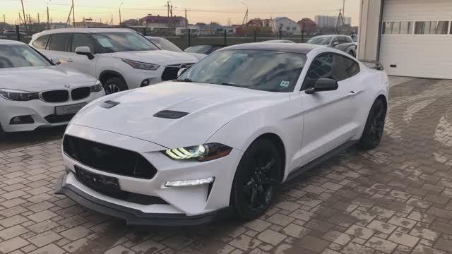 Ford MUSTANG 2019