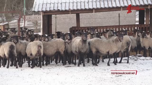 В Ярославской области появилась новая ассоциация фермеров