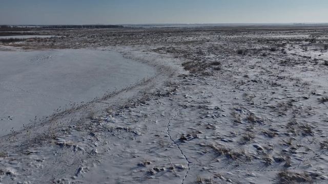 «Перепись населения» началась в заказниках Амурской области