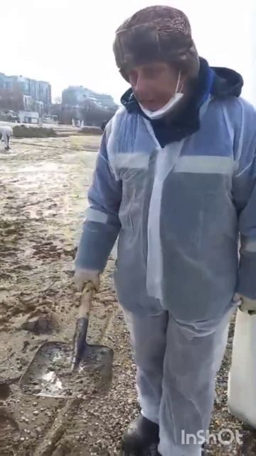 почти как грибы