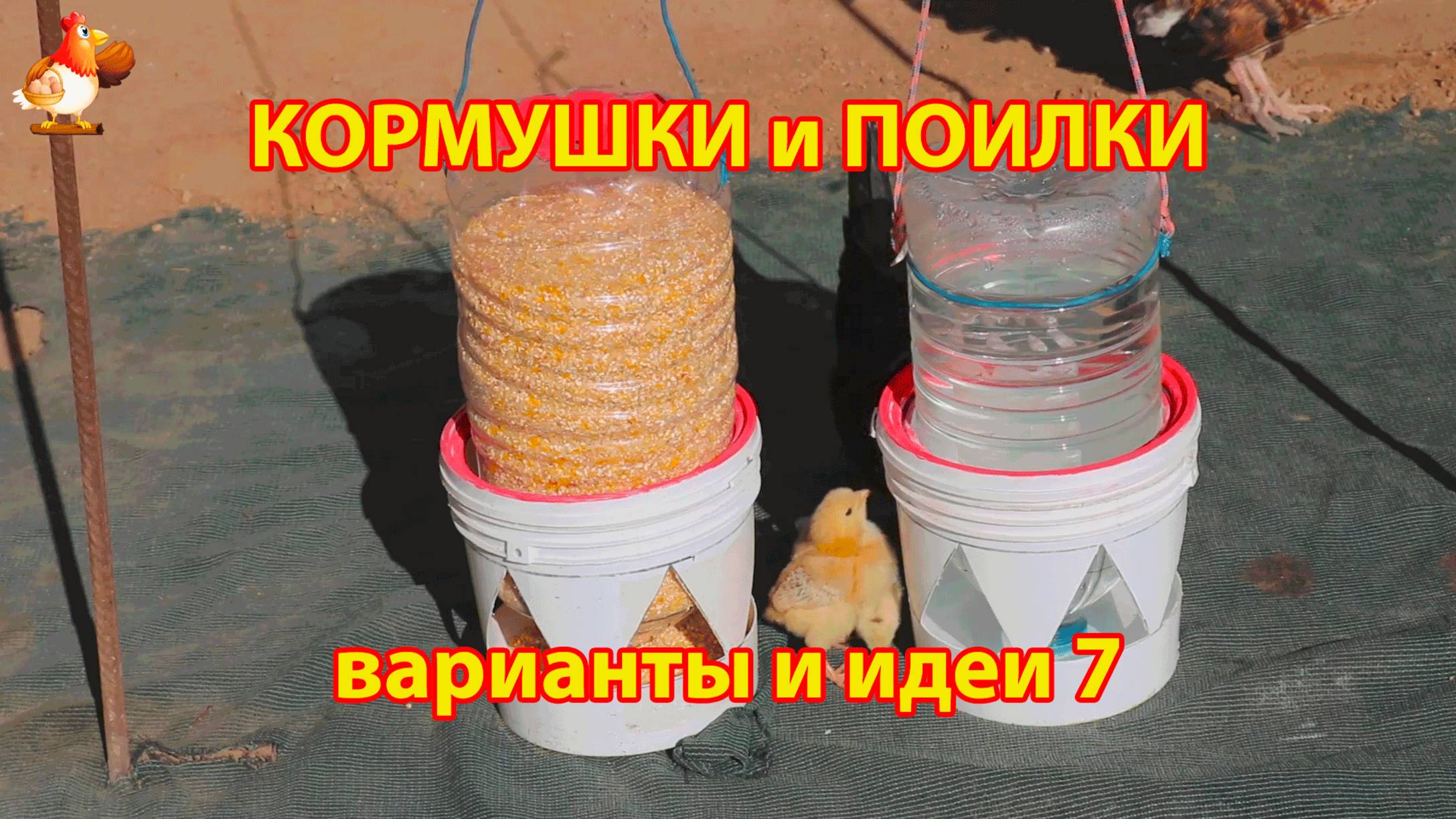 Кормушки и поилки для кур своими руками (7) 🪚🪛 Пошаговая инструкция как сделать 🐔 🐓❣️