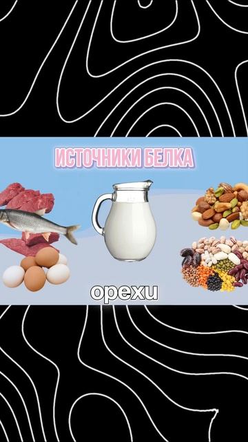 ОСНОВНЫЕ ИСТОЧНИКИ БЕЛКА | Где брать натуральный белок #здоровье #правильноепитание #белки