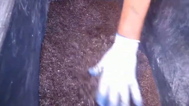 На ошибках учатся.  Часть 2.  Подготовка субстрата для заселения Дендробены.