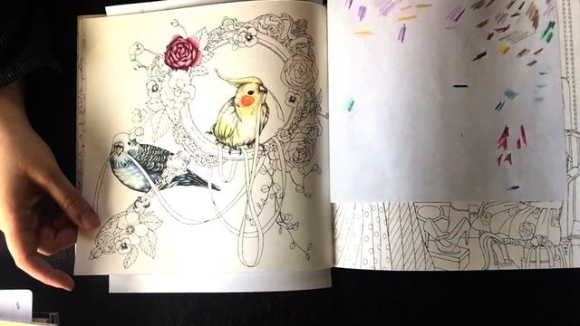 My Adult Coloring Book Stash and Tour of WIPs and Finishes!