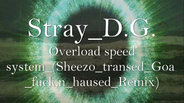 StrayDigy - Overload  speed system_ (Sheezo_ transed_Goa_ fuck,n_haused_Remix).flv