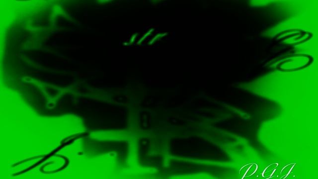 StrayDigy - P.G.J.
