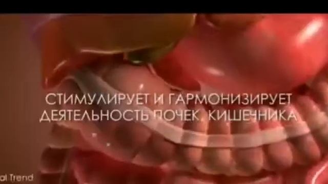 ГЛОБАЛ ТРЕНД.+77759736870 САУЛЕ