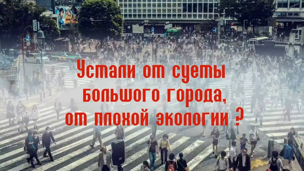 Устали от суеты большого города, от плохой экологии?