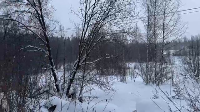 ЗУ в д. Пешки :2783