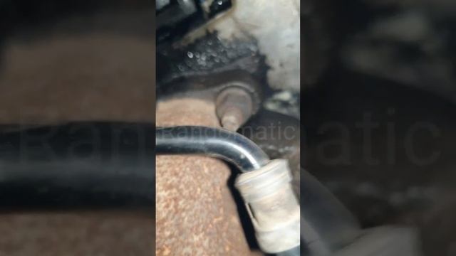 Rocker cover oil leaking | 1.9 Tdi valve cover leakage from behind.