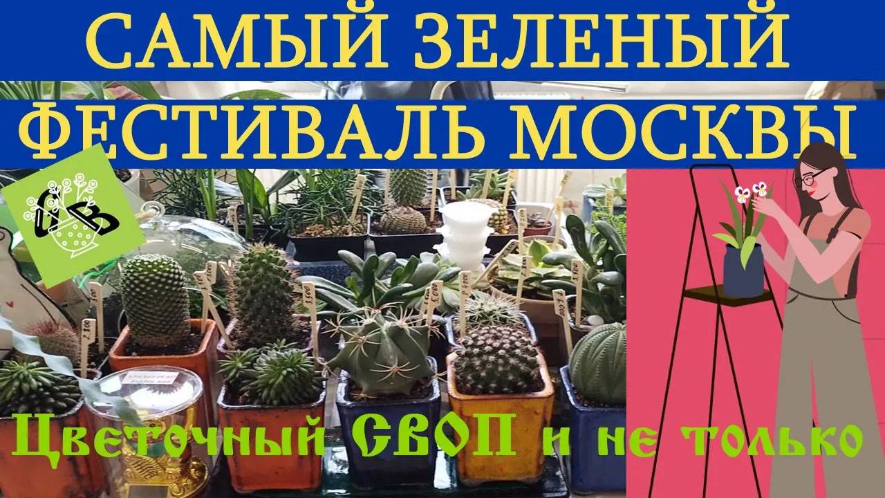 GrowBoxmarket городской фестиваль Цветочный SWOP Дизайн Завод Флакон