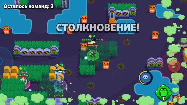 апаем кита
