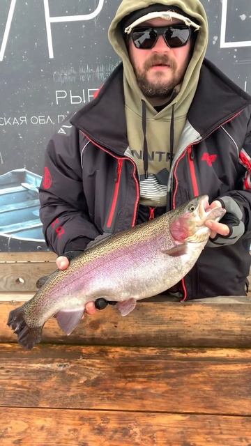 Очередной трофей #трофейнаярыбалка #платнаярыбалка #fishing #рыбалка #форель #трофей