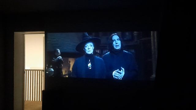 Гарри Поттер дома на проекторе