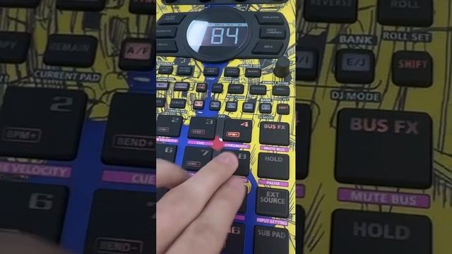 SP-404 MK2