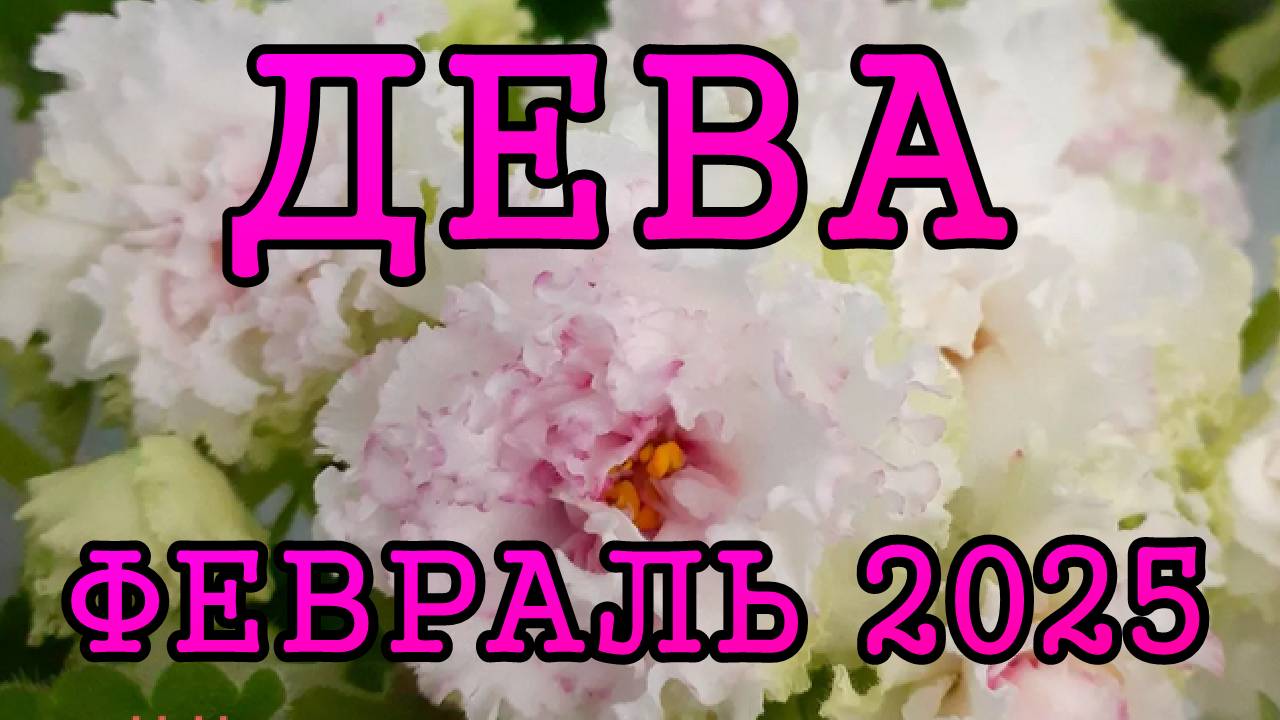 ДЕВА таро прогноз на ФЕВРАЛЬ 2025 года.