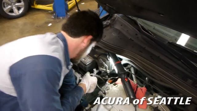 Acura of Seattle- Timing Belt Service