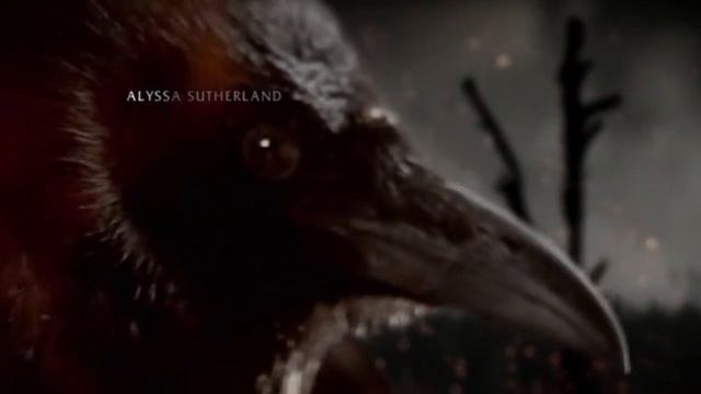 Vikings  Season 4 - Opening Credits  Intro