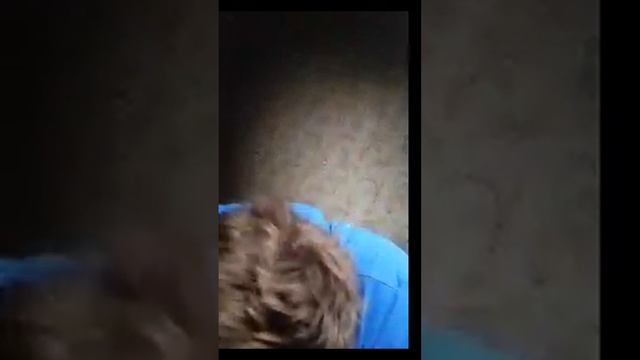 Сегодняшний Вечер Стрим Просто Пушка (легенда) Andrey Play